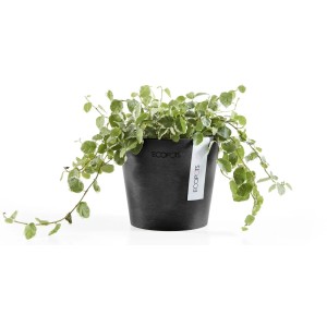 Pot de fleurs Ecopots Amsterdam Mini, gris foncé, 10,5 cm, avec plante verte.