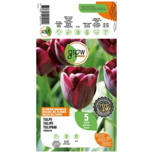 Confezione tulipano Ronaldo rosso scuro GROW by OBI, 5 bulbi da fiore, 50 cm. Per giardino e fiori recisi.