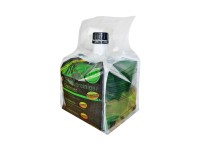 Polyston Scheibenreiniger Sommerkonzentrat Citrus