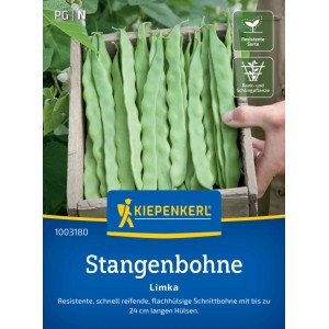 Semi di fagiolino rampicante Kiepenkerl Limka: Fagioli verdi e lunghi in scatola di legno, resistenti e produttivi.