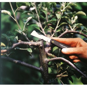 Coltello da innesto Fiskars K60 in uso per innestare un ramo di albero da frutto.