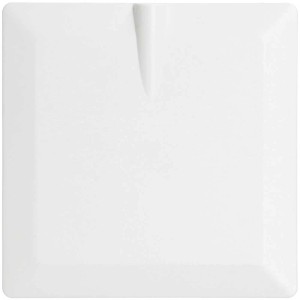 Plaque d'obturation blanche Priamos pour accessoires de boîtier d'interrupteur avec entrée de câble.