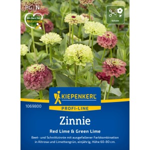 Semi di Zinnia Kiepenkerl Red Lime + Green Lime con fiori rosa e verde lime.