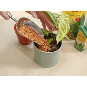 Granulato per piante Seramis versato in un vaso con una pianta d'appartamento. Sullo sfondo è visibile una confezione di Seramis.