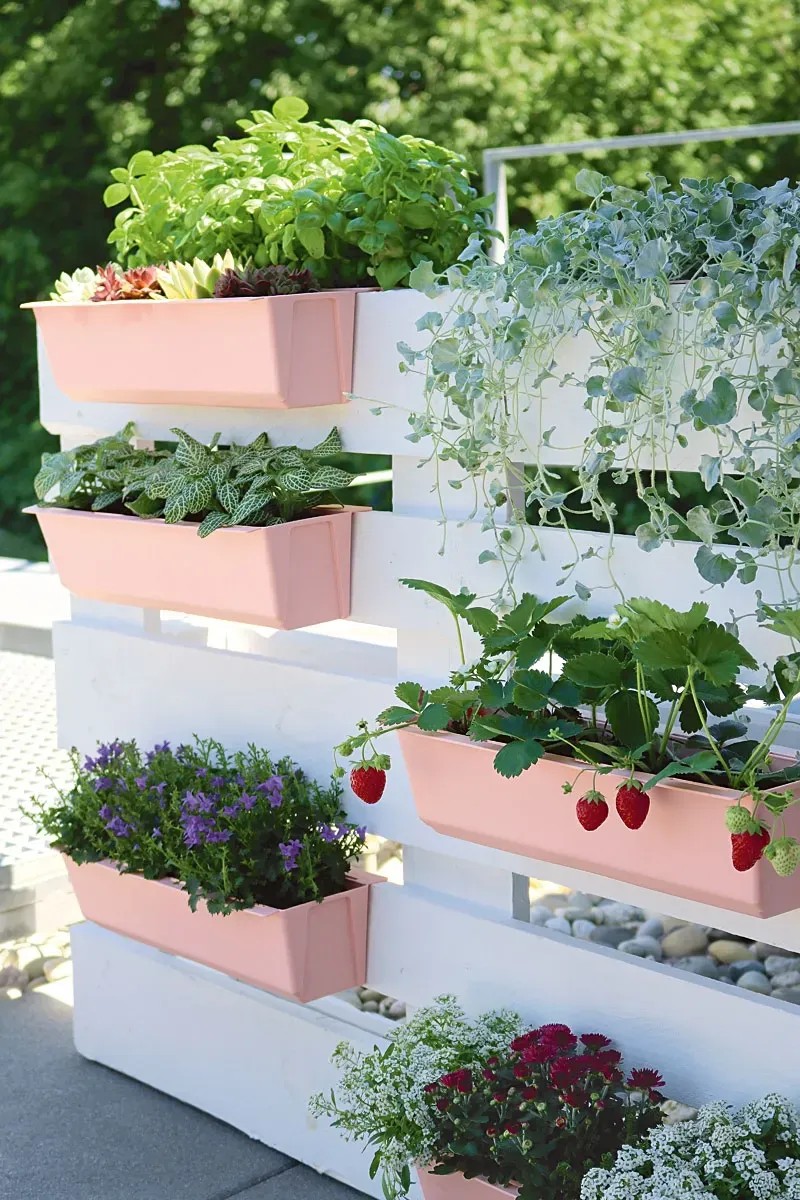 100 pezzi: vasi per piante da vivaio in plastica – BAJE HOME