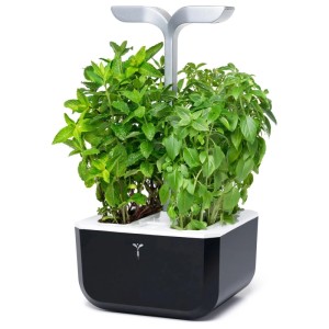 Véritable Exky Smart Indoor Herb Garden nero con erbe aromatiche in crescita.