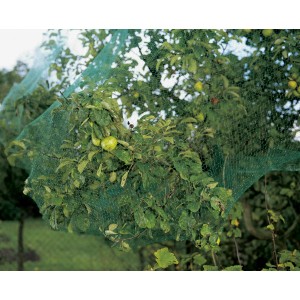 Rete di protezione verde per uccelli 8x8m tesa su un albero da frutto, protegge i frutti.