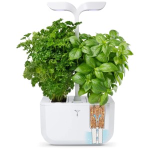 Véritable Indoor Jardin d'herbes aromatiques Connect Blanc avec persil et basilic.