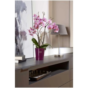 Söndgen cache-pot pour orchidées Merina Candy, aubergine brillant, Ø 14 cm. Pot en céramique.