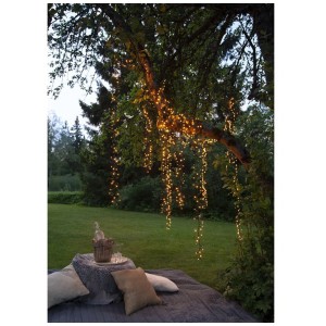 Catena luminosa LED Star Trading con 540 LED bianco caldo, fissata a un albero all'esterno.