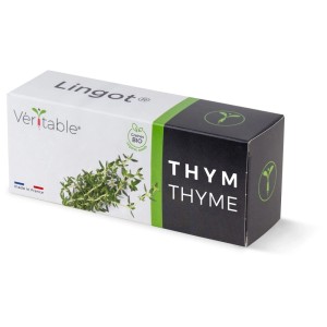 Véritable Lingot confezione di semi di erbe aromatiche Timo biologico per giardino interno.