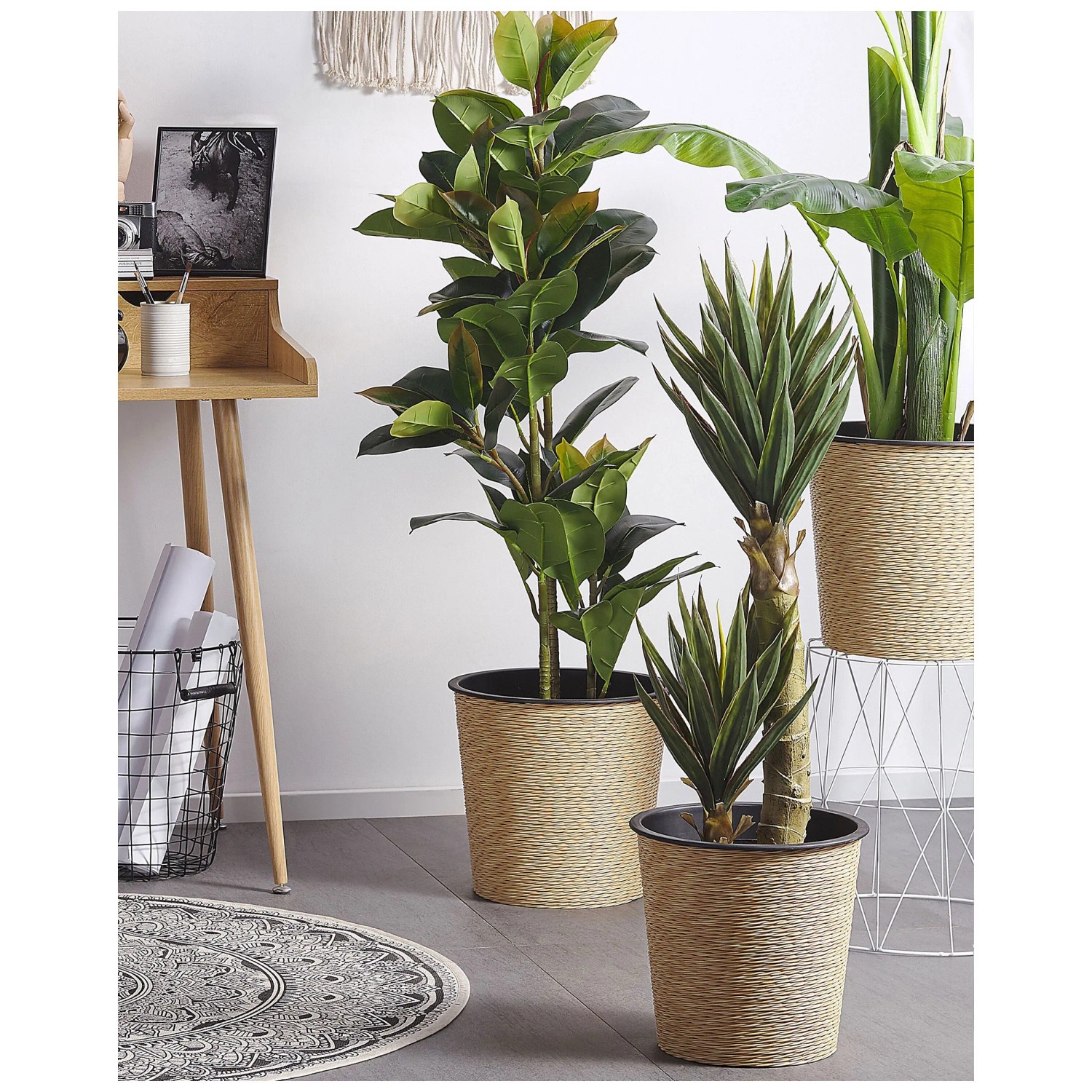 Kunstpflanze Ficus Elastica im Blumentopf  18 cm / Hhe 134 cm