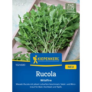 Graines de roquette Wildfire Kiepenkerl : roquette piquante pour plates-bandes, pots et bacs surélevés.