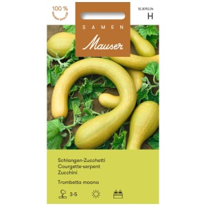 Graines de courgette serpent Trombetta moana, courgette incurvée jaune clair avec feuilles vertes.