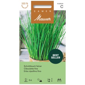 Confezione di semi di erba cipollina fine, erba aromatica popolare per giardino e vaso.