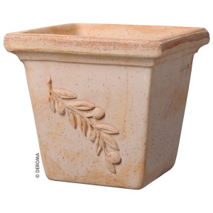 Vaso per piante Deroma Quadro Olive, terracotta, quadrato, con decoro ramo d'ulivo.