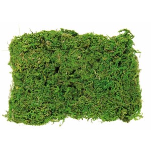 Moos im Beutel, 50g, für floristische Bastelarbeiten und Modellbau.