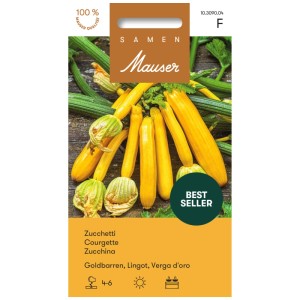 Sachet de graines de courgettes Goldbarren : Courgettes et fleurs jaune d'or.