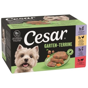 Cesar Alimento umido per cani Giardino Terrina 8x 150g multipack. Scatola con cane, cibo in terrina e verdure.