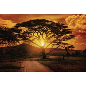 Quadro su tela Sunset Savanna, 65x97 cm: Savana africana con albero e giraffa al tramonto.