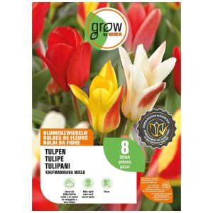GROW by OBI mix di tulipani Kaufmanniana, 8 bulbi. Tulipani colorati in rosso, giallo, bianco per il giardino.