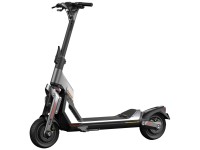 Segway Ninebot E-Kickscooter GT1 D Schwarz-Beige