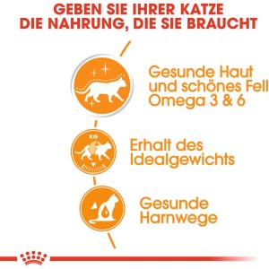 Grafica: Alimento per gatti Royal Canin per pelle e pelo sani, mantenimento del peso ideale e tratto urinario sano.