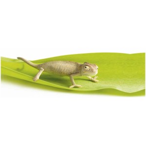 Kleine Wolke Deko-Aufkleber Cameleon grün (23x68cm) auf Blatt.