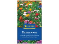 Kiepenkerl Blumenwiese Basis 0,25 kg