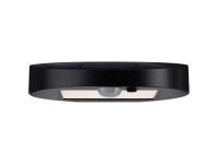 Paulmann Applique solare outdoor Ryse Antracite 3'000 K 100 ml