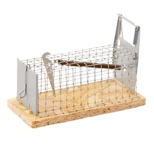 Piège à souris à cage métallique comme piège vivant avec base en bois et mécanisme de déclenchement.