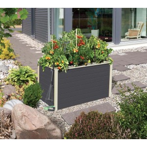 Aiuola rialzata in legno Karibu Terragrau (98x65cm) piantata con pomodori.