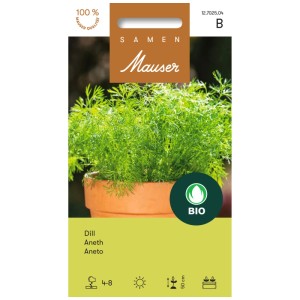 Graines d'aneth bio Mauser Bioline en pot, herbe aromatique annuelle.