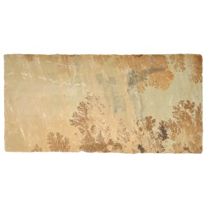 Lastra per terrazza in arenaria oro-marrone, 60x40x3 cm, robusta, ideale per terrazze e vialetti.