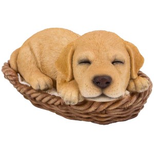 Beiger Labrador-Welpe schlafend im Korb, Gartendeko von Vivid Arts.