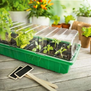 Serre d'intérieur avec 18 godets, plateau vert, couvercle transparent, jeunes plants.