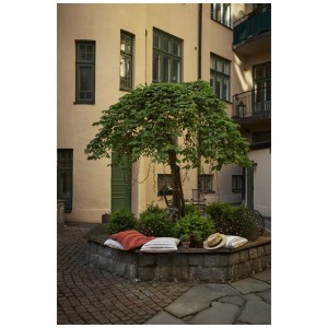 Catena luminosa LED Star Trading con 1200 LED bianco caldo dorato su albero in area esterna.