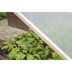 Windhager Gitter-Folie White protegge le piante in giardino.
