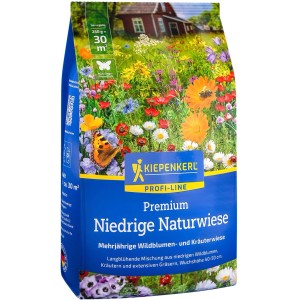 Graines de gazon Kiepenkerl Profi-Line Premium Prairie Fleurie Basse, paquet de 0,25 kg avec motif de prairie fleurie.
