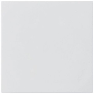 Copertura cieca Hager Kallysto, Duroplast, bianco per interruttori a parete.