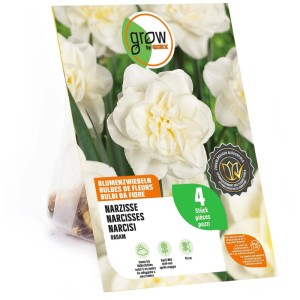 Confezione GROW by OBI Narciso Obdam Bianco, 4 bulbi con immagine di fiori di narciso doppi bianchi.