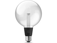 Philips Hue White and Color Ambiance Lightguide Globe G125 dimmbar 500 lm