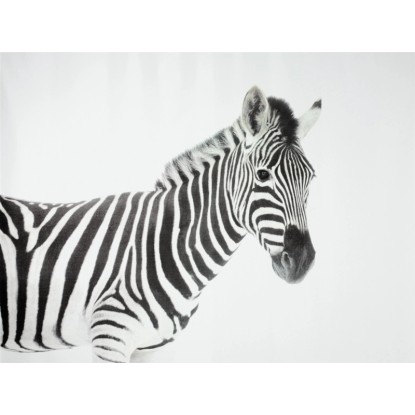 Spirella Duschvorhang Textil Zebra Schwarz 180 x 200 cm