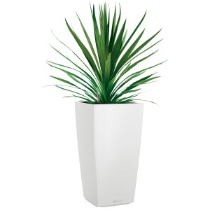 Pot de fleurs blanc Lechuza Cubico Color 22 avec plante verte, adapté à une utilisation intérieure et extérieure.