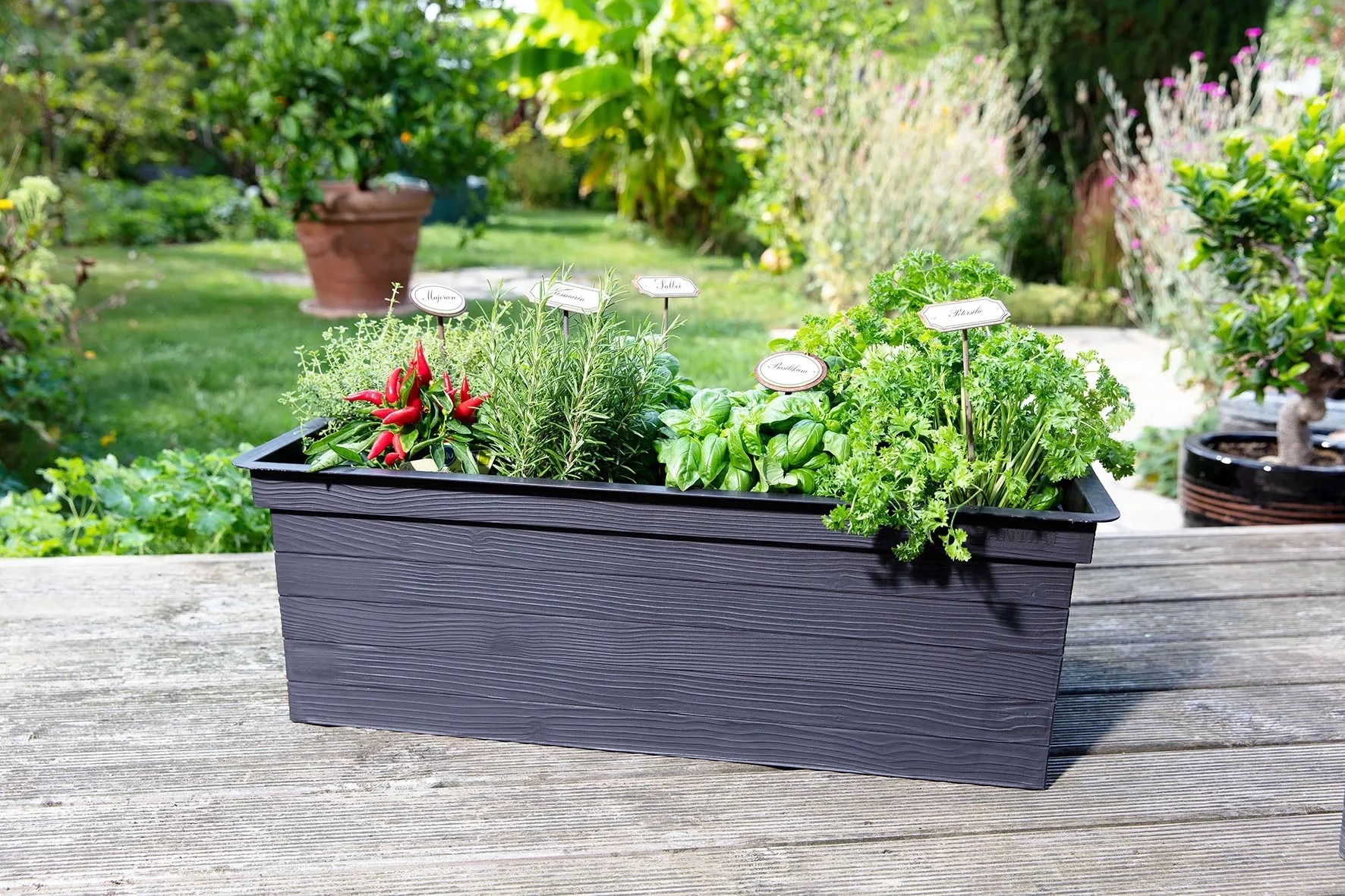 Soportes Para Plantas En Espiral 50 Pcs 110 Cm De Acero V3502 Unico / Verde | Leroy Merlin - Foto 13