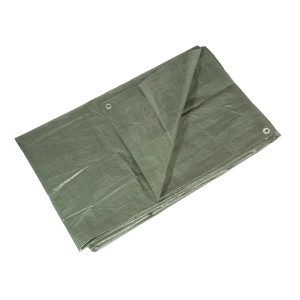 Bâche de protection verte LUX 2x3m en plastique PE avec œillets pour la maison et le jardin.