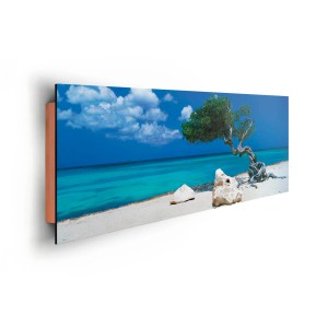 Quadro da parete: albero Divi Divi su spiaggia bianca con mare turchese.