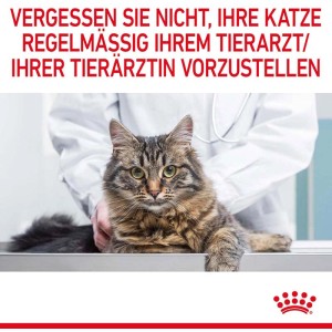 Gatto tigrato su tavolo visita dal veterinario. Royal Canin Urinary Care cibo secco per gatti per la salute urinaria.
