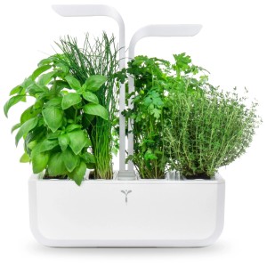 Véritable Indoor Garden Classic con illuminazione LED e varie erbe aromatiche.