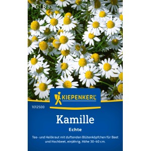 Kiepenkerl Vera Camomilla: Semi annuali con fiori bianchi e centro giallo.